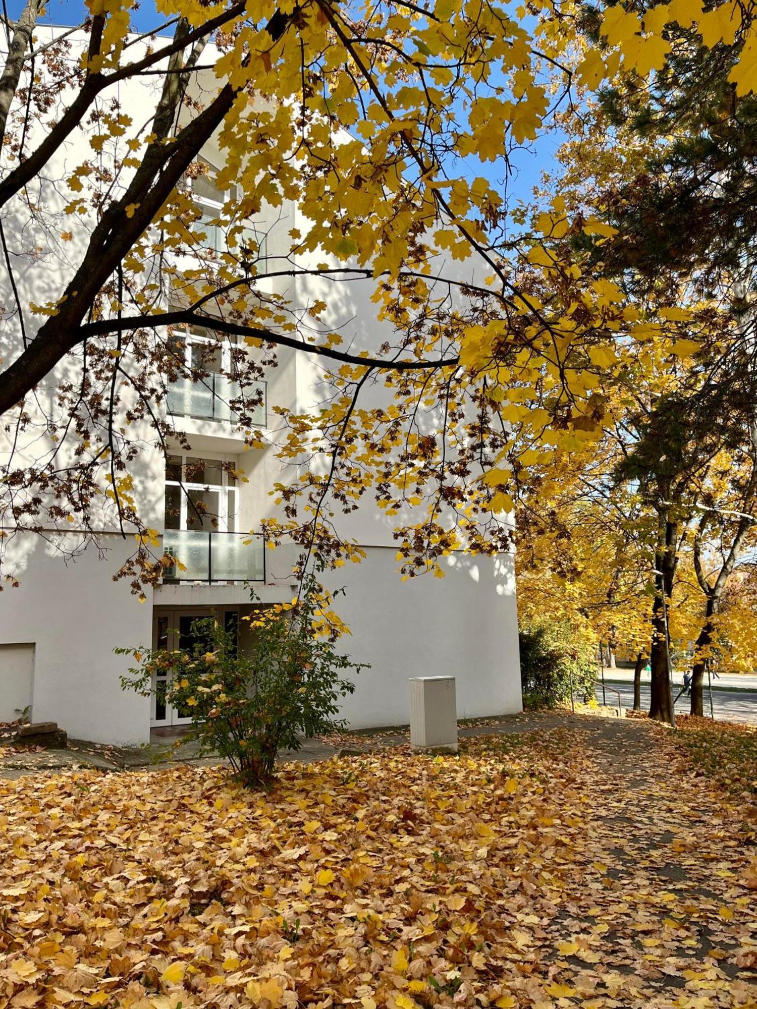 Oazis Apartman Веспрем Экстерьер фото